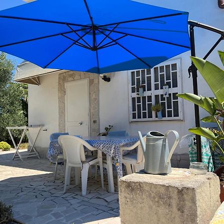 B&B Villa Mediterranee Con Parking Space Trani Kültér fotó