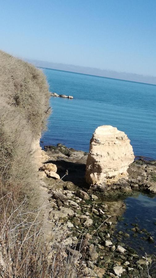 B&B Villa Mediterranee Con Parking Space Trani Kültér fotó