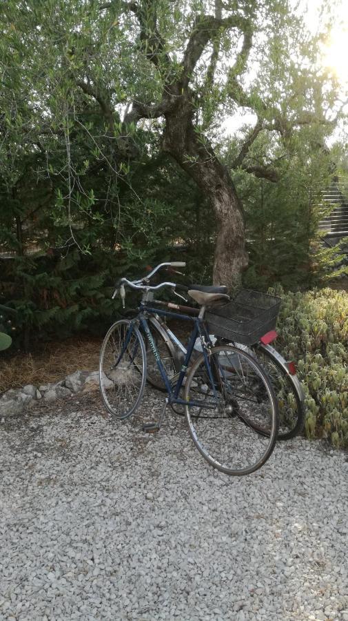 B&B Villa Mediterranee Con Parking Space Trani Kültér fotó