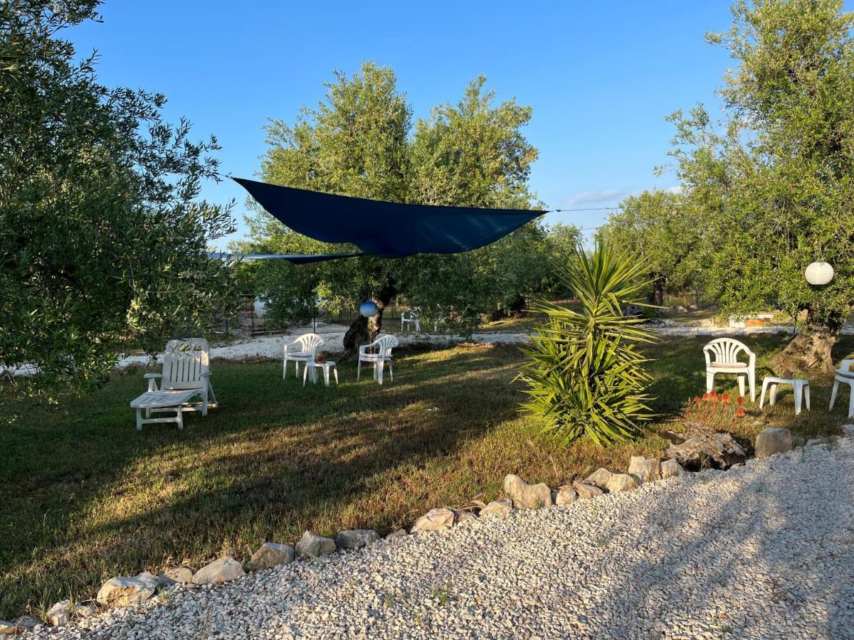 B&B Villa Mediterranee Con Parking Space Trani Kültér fotó