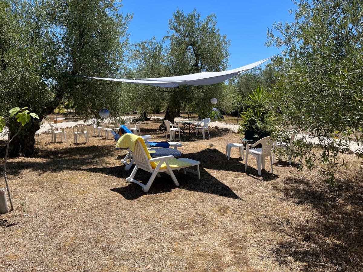B&B Villa Mediterranee Con Parking Space Trani Kültér fotó