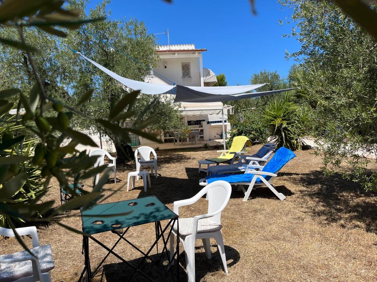 B&B Villa Mediterranee Con Parking Space Trani Kültér fotó