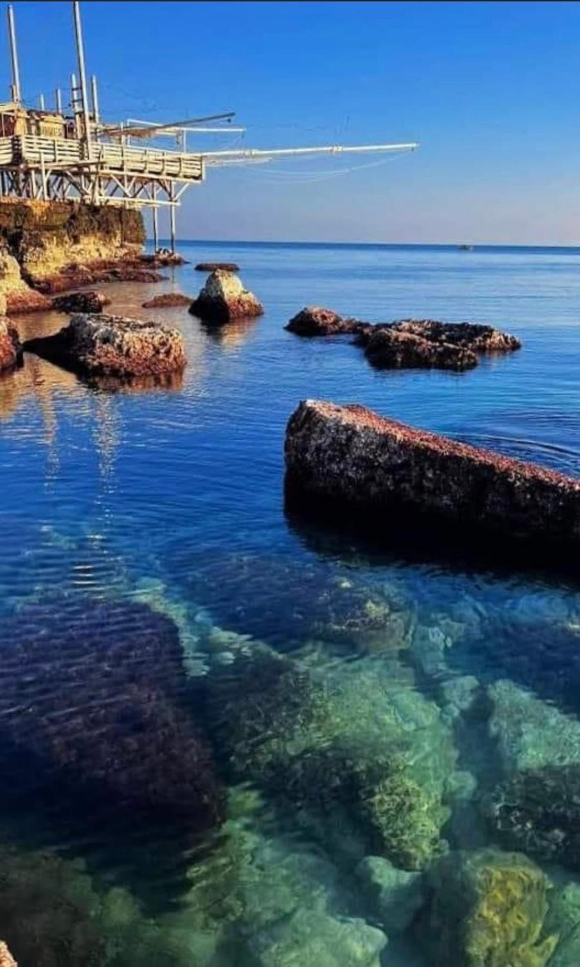 B&B Villa Mediterranee Con Parking Space Trani Kültér fotó