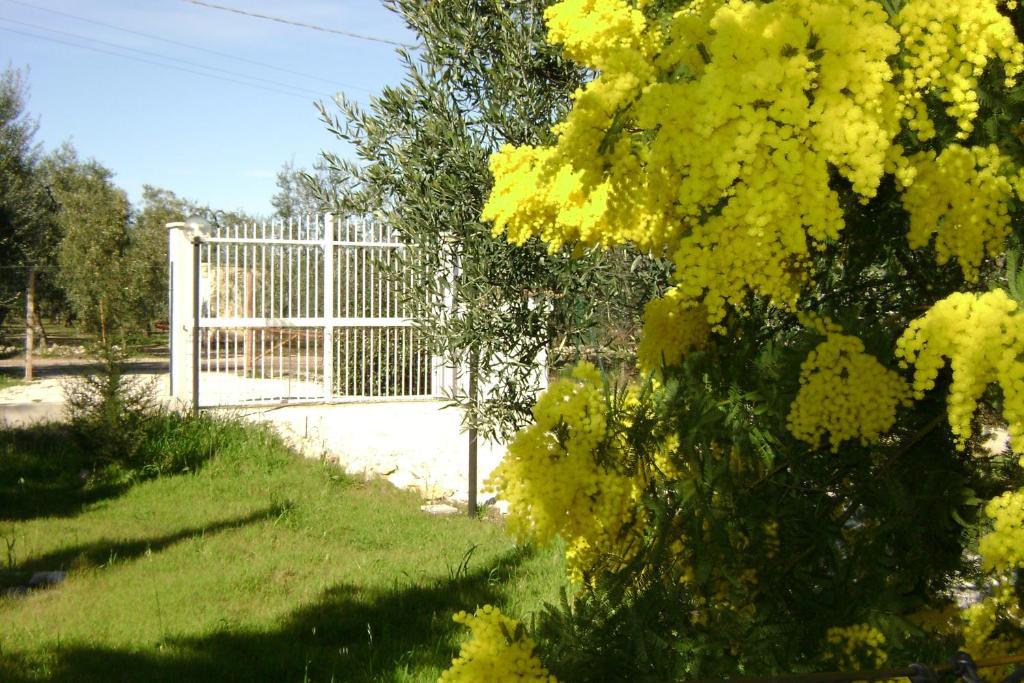 B&B Villa Mediterranee Con Parking Space Trani Kültér fotó